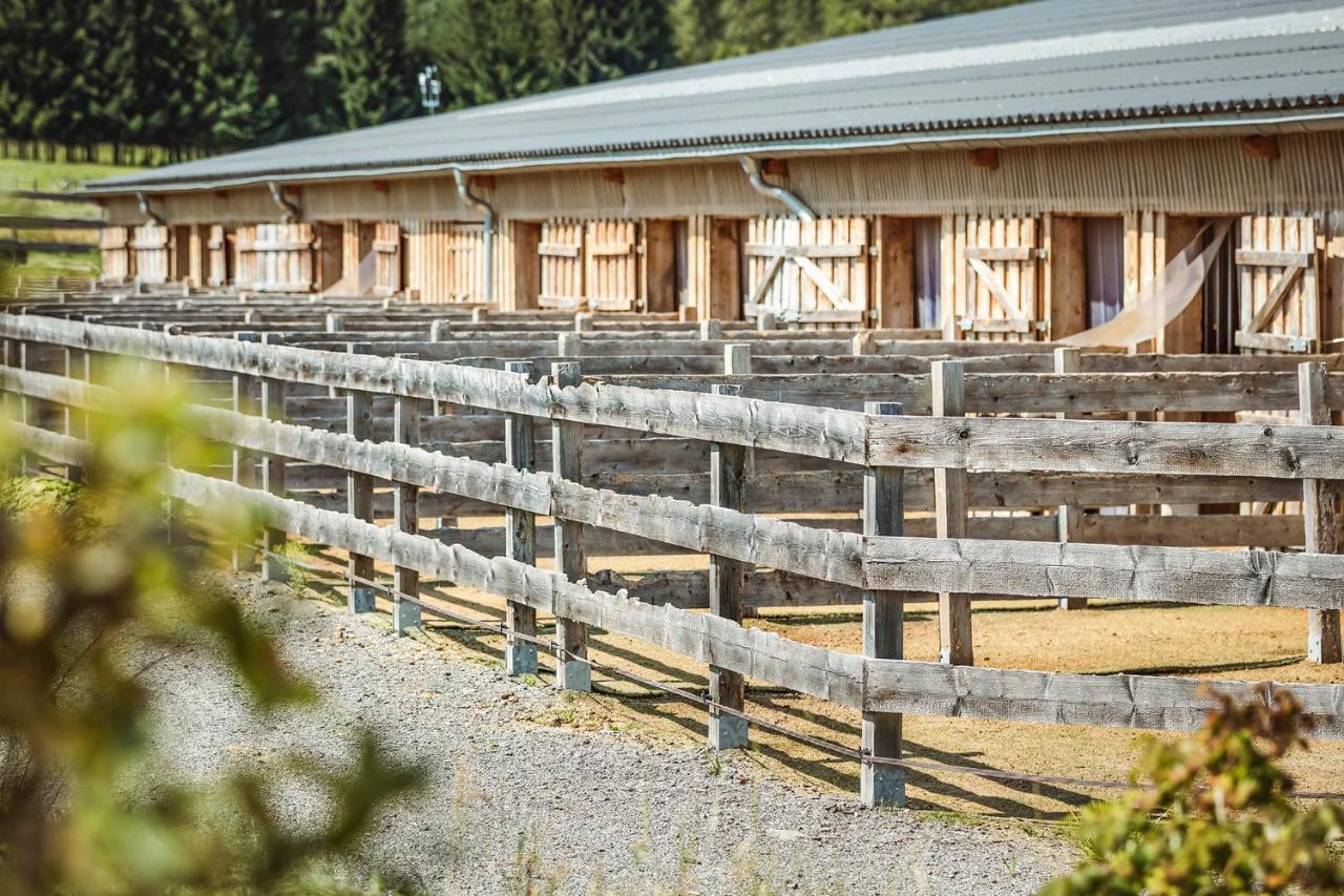 Ranchhouse Smoker- Westernstable - Horse Elterlein Bagian luar foto