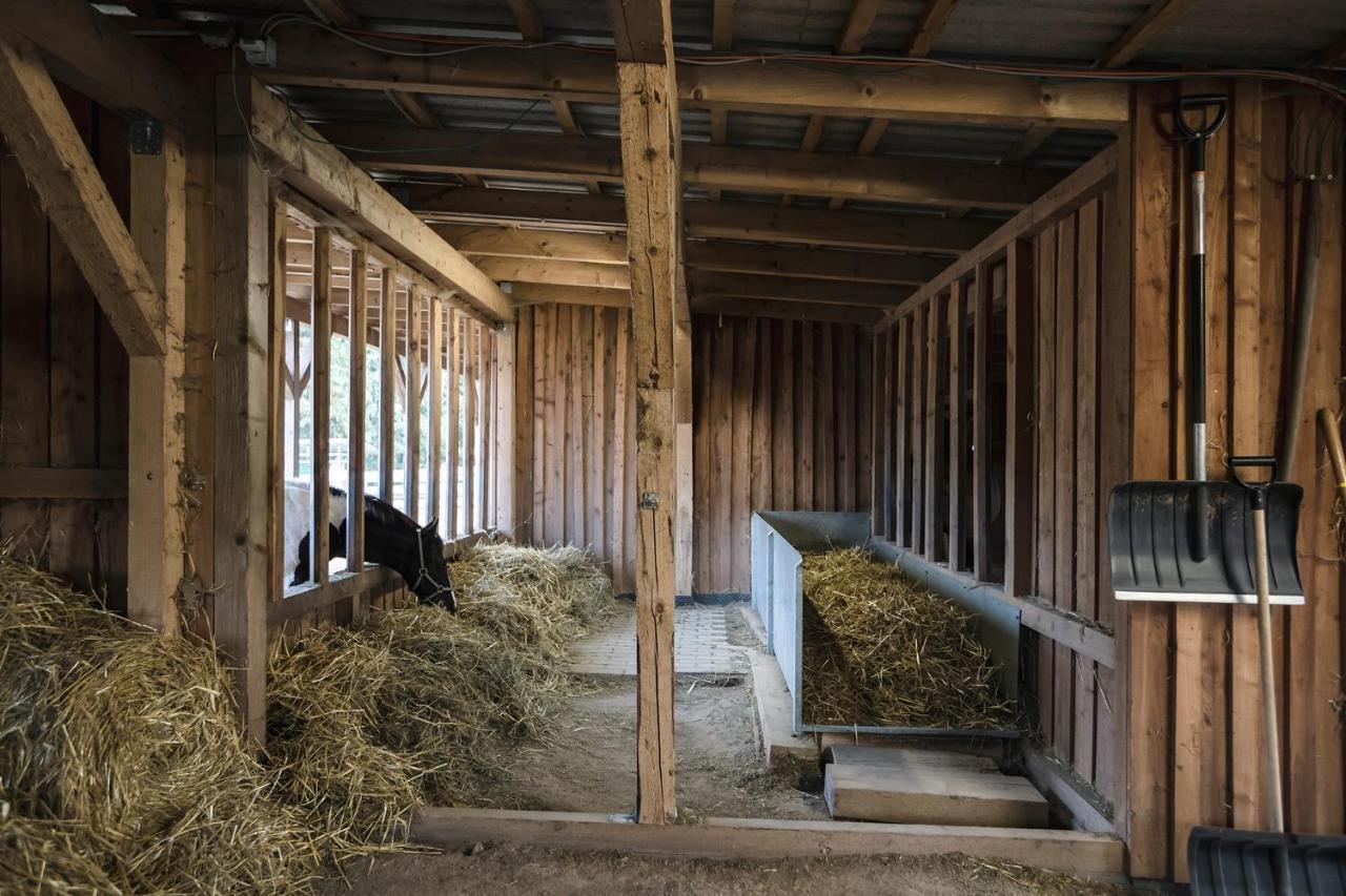 Ranchhouse Smoker- Westernstable - Horse Elterlein Bagian luar foto
