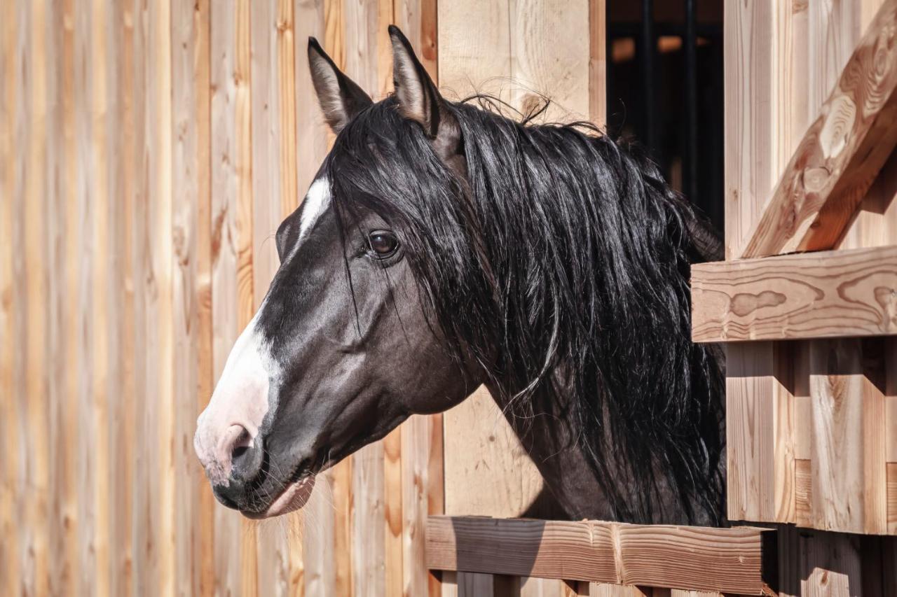 Ranchhouse Smoker- Westernstable - Horse Elterlein Bagian luar foto